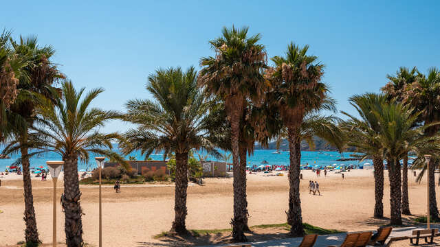 Plage de la Favière