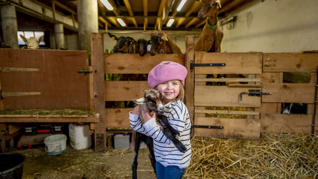 Visit of the Thoules goat farm