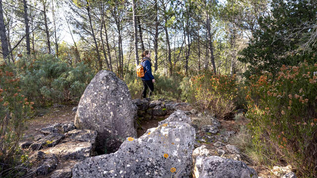 Dolmen des Adrets