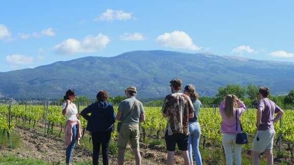 Balade vigneronne gourmande - Terre de Ghaya