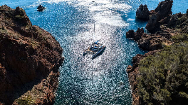 Sortie en maxi catamaran et dîner avec AMC Cape Grace