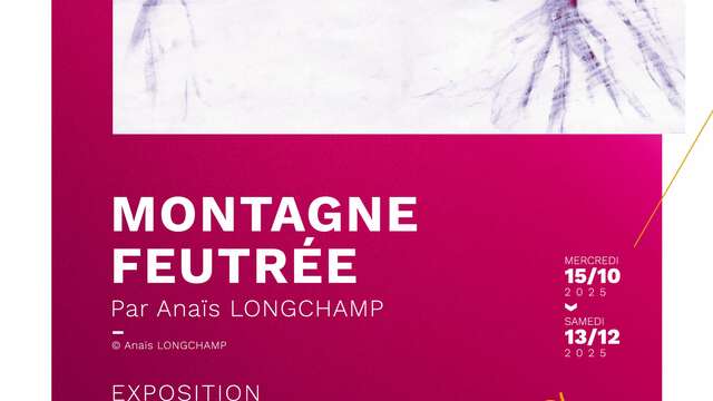 Montagne Feutrée - Exposition d’Anaïs Longchamp