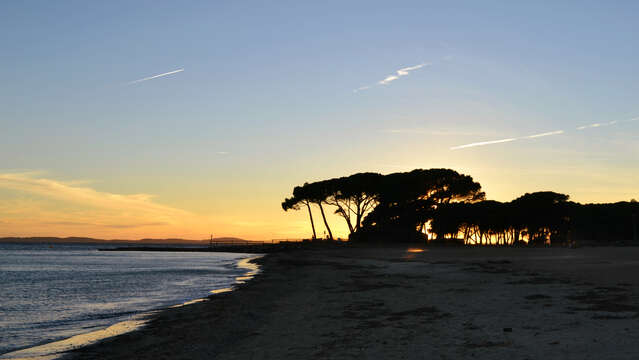 Küstenpfad: Rundweg Nr. 5b - Port Miramar / Les salins d'Hyères