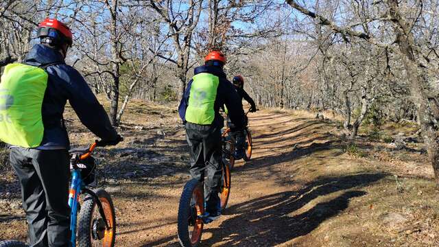 Trottinette tout terrain électrique au Parc Ecureuil