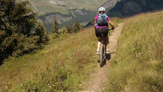 VTT Electrique avec un Moniteur