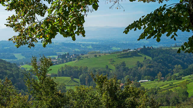 Cycling loop: Mont Tournier circuit