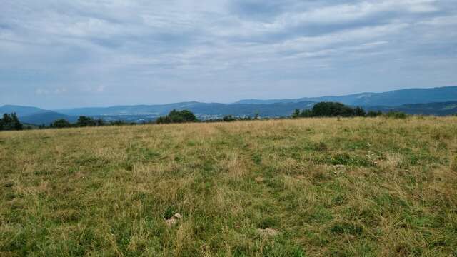 Randonnée - Belvédère du Mont de Rignat - Vignes de Journans et Rignat