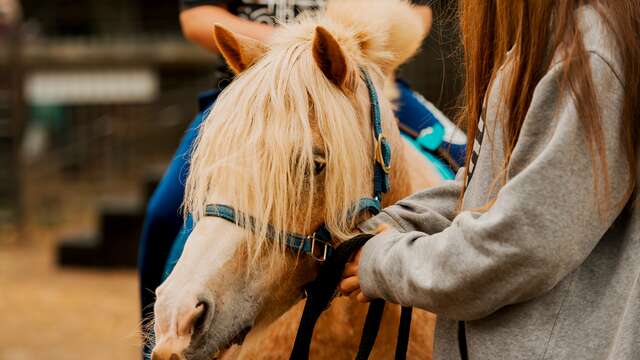 Baptêmes à poneys