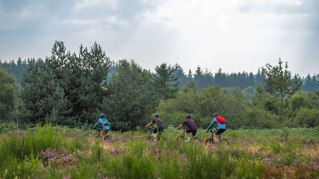 N°53 – Le Grand Tour - Espace VTT-FFC Massif des Bois Noirs