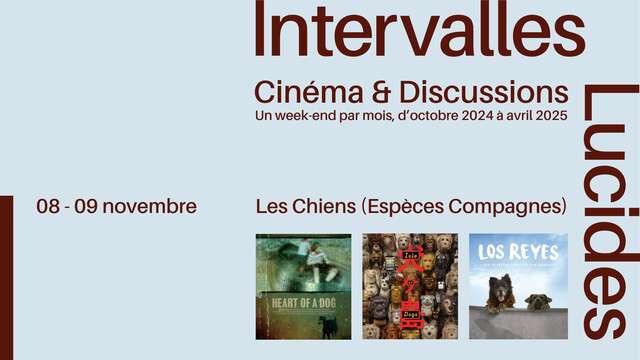 LUMA Arles / Projection du film "Méandres ou la rivière inventée"