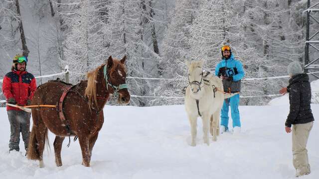 Ranch du Grand Aigle - Ski Joëring