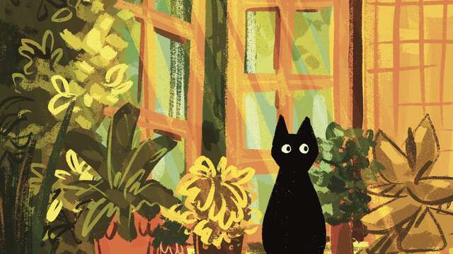 Là où rêvent les couleurs