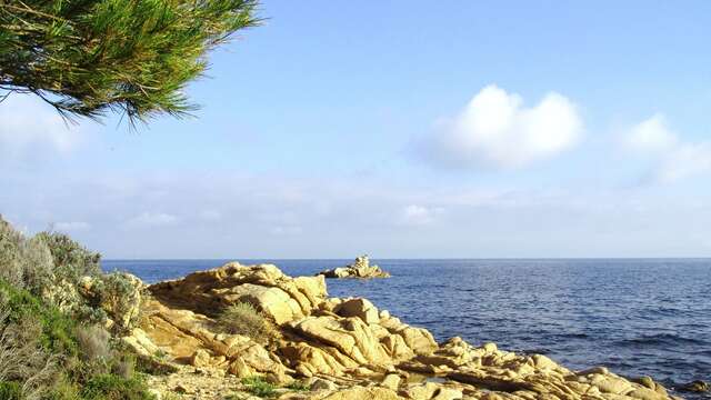 Les sous-marins de la liberté" theme walk with Jean-Charles Meyer