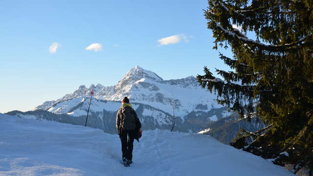 Schneeschuh-Route : Le Cernix - Mont Lachat