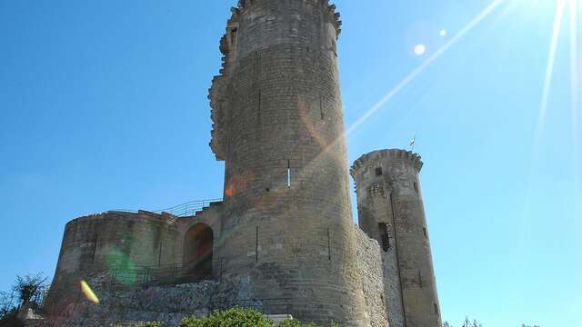 Le Château Féodal des Comtes de Provence