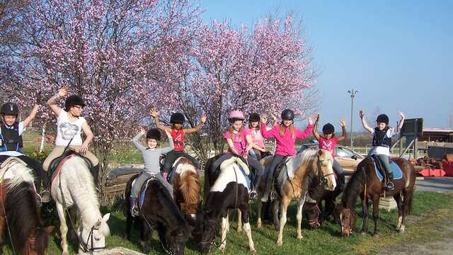Fêtez son anniversaire à poney