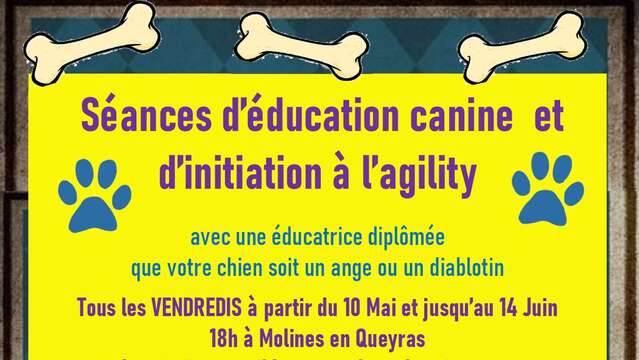 Atelier éducation canine