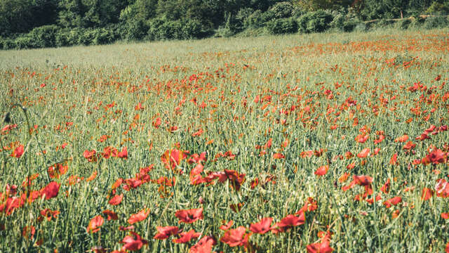 Eglise paroissiale Saint-Jean-Baptiste - Patrimoine religieux