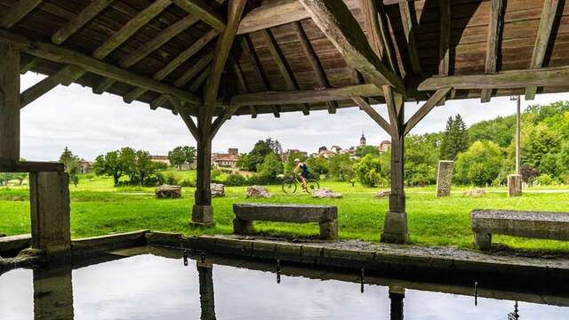 Circuit VTT n°15 (rouge) - Les 4 cols du Revermont