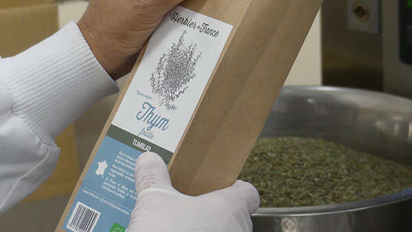 Arcadie - Visite guidée