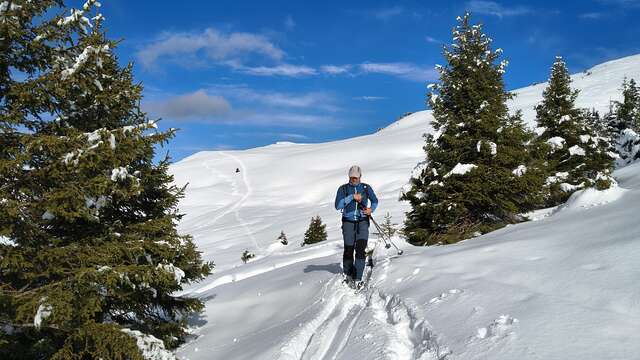 Découverte Nature en raquettes