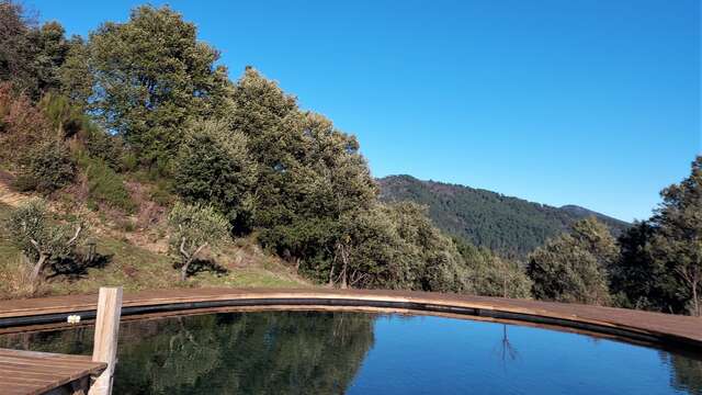 Stage Yoga et randonnée au début de l'été dans les Cévennes
