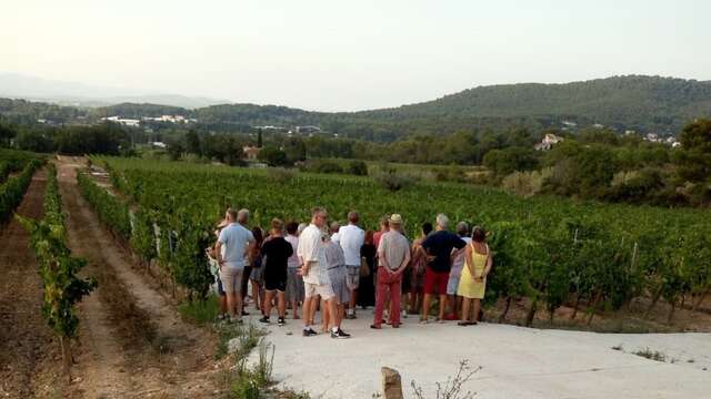 Visite audio-guidée "Aventure vigneronne"