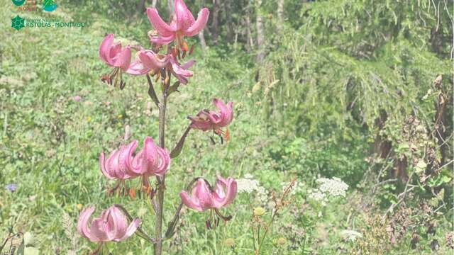 Les apéros de la Réserve au gîte de la Monta