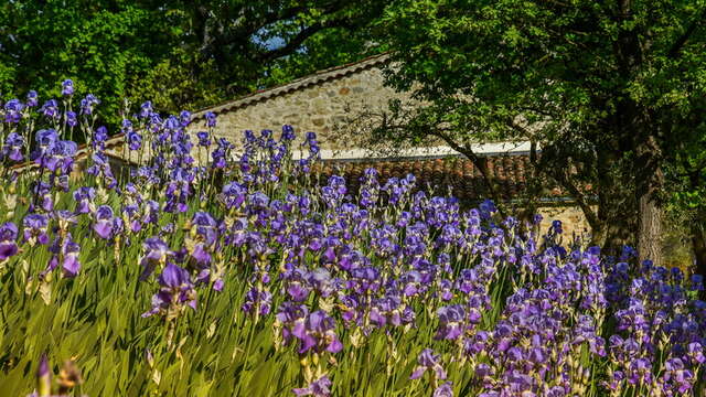 Domaine viticole Val d'Iris