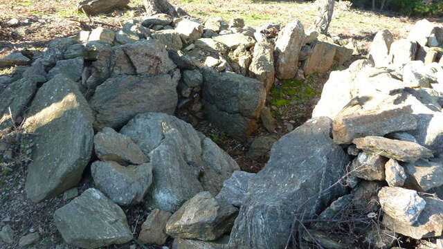 Le Dolmen de la Gaillarde