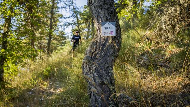 Parcours 14 - Le Roncheret