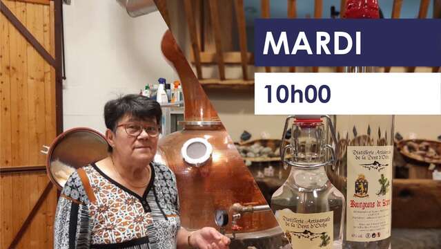 Visit to the distillery