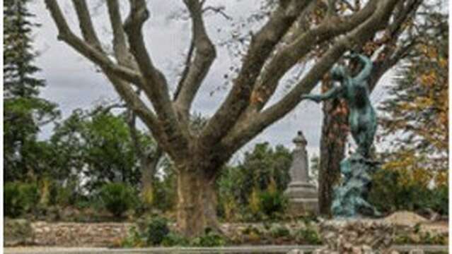 Réouverture du Rocher des Doms (phase 1)