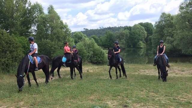 Haras des Villards: Journée détente à cheval/poney