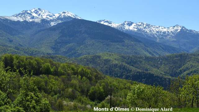 les gorges de Pereille
