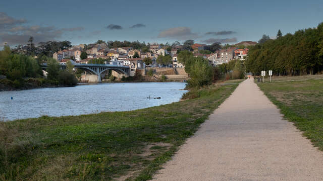 Chemin des libellules
