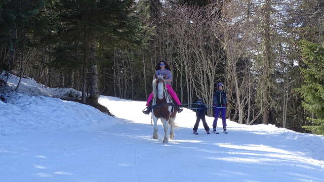 Initiation au ski-Joering au Collet