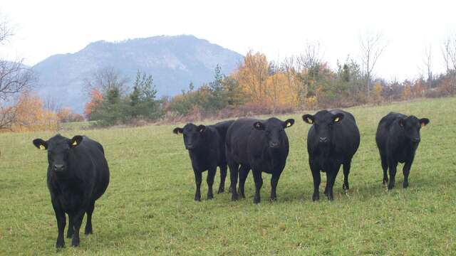 La Ferme des Pélissones