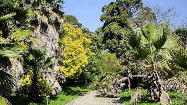 Jardin botanique Villa Thuret
