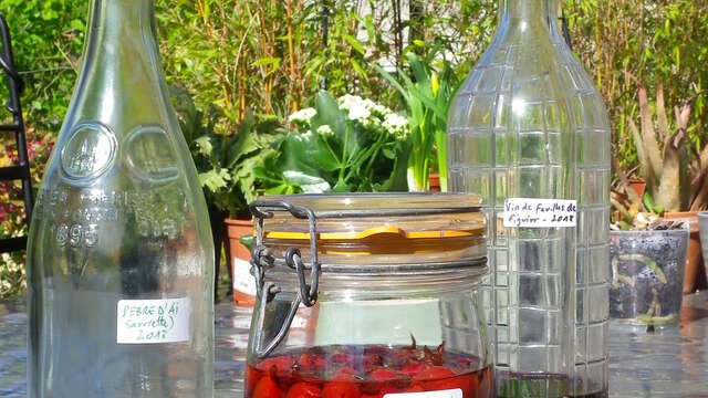 Plantes et recettes paysannes