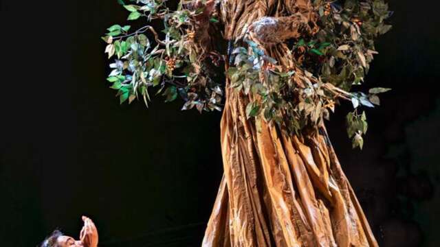L'enfant de l'arbre