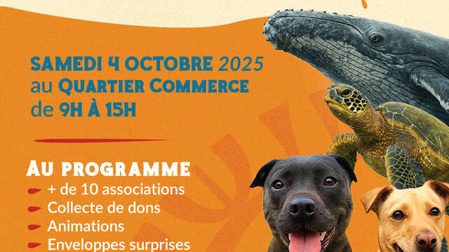 Anim' Action - Quartier du Commerce