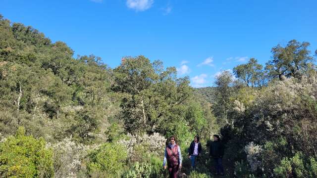 Guided walk to discover biodiversity at Domaine de la Portanière