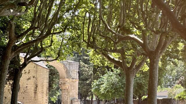 Le Chemin d’Arles - Le pèlerinage de Saint-Jacques de Compostelle