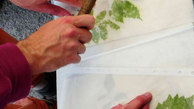 Teinture et impression végétale