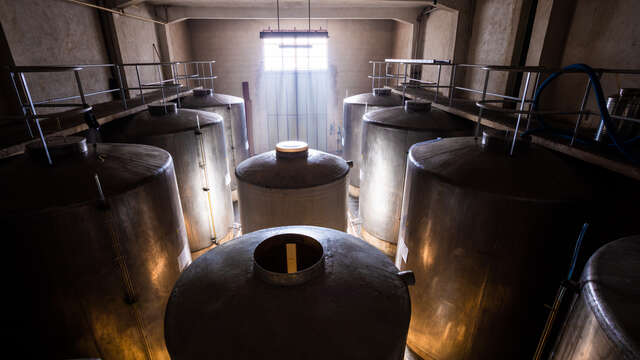 Visite guidée du moulin de l'Olivette