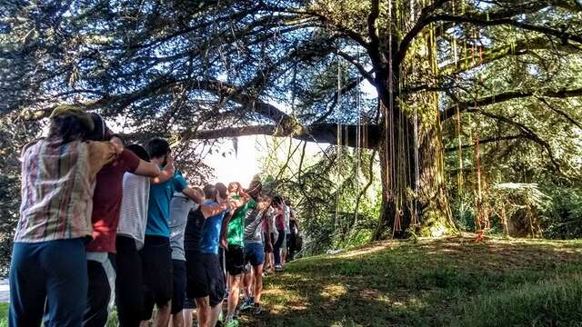 Arbatou Grimpe d'Arbres