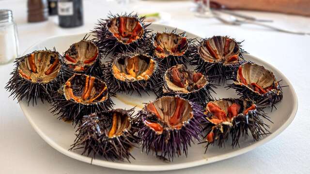 Calend'Arles au Forum : Oursinade