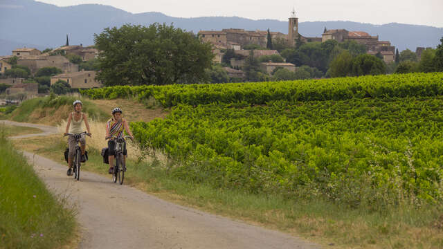 Festival „Ventoux Saveurs“ – Kulinarische Radtour