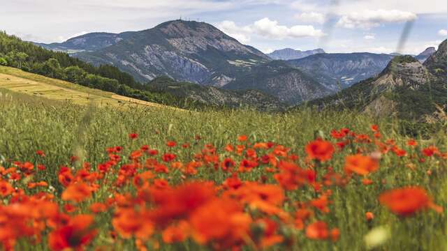 Gravel n°G4 - Grand 8 de la Blanche